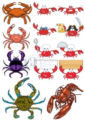 Tôm Cua, Vector Hải Sản (4)