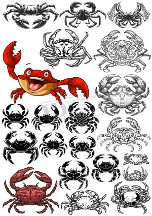 Tôm Cua, Vector Hải Sản (6)