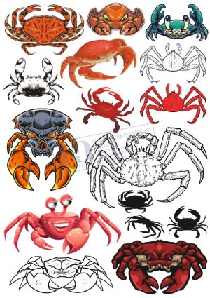 Tôm Cua, Vector Hải Sản (7)