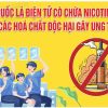 Vector Phông Nền Ngày Thế Giới Không Hút Thuốc 1