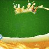 Vector Tranh Trang Trí, Bia Hơi, Quán Lẩu Nướng (113)