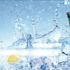 Vector Tranh Trang Trí, Bia Hơi, Quán Lẩu Nướng (48)