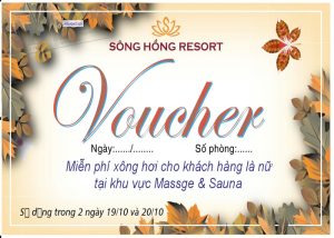 Vector Voucher Spa
