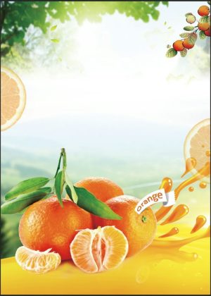 Poster Hoa Quả Đẹp (16)
