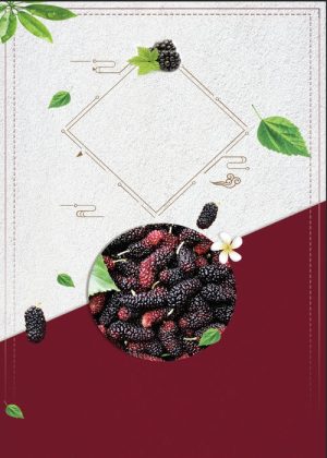Poster Hoa Quả Đẹp (17)