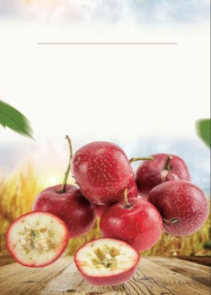 Poster Hoa Quả Đẹp (26)