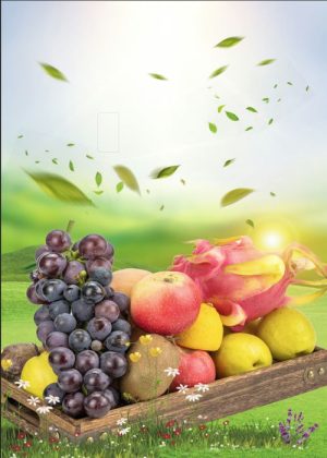 Poster Hoa Quả Đẹp (36)