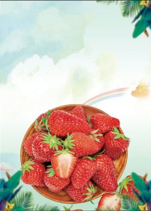 Poster Hoa Quả Đẹp (44)