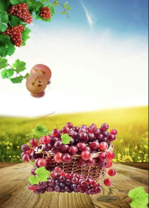 Poster Hoa Quả Đẹp (73)