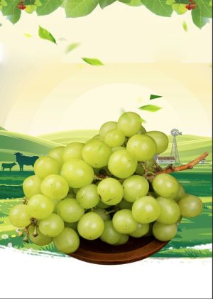 Poster Hoa Quả Đẹp (87)