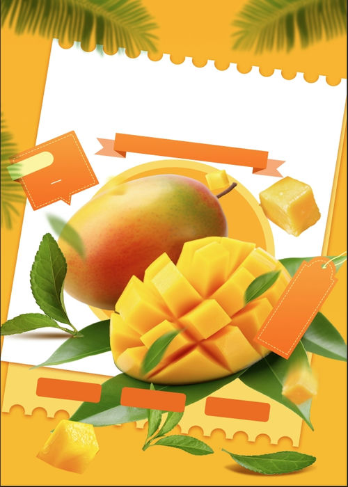Poster Hoa Quả Đẹp, Quả Xoài (40)