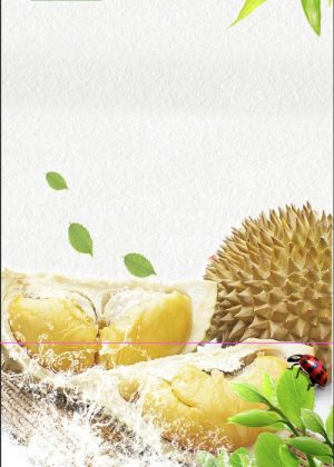 Poster Hoa Quả Đẹp, Sầu Riêng (49)