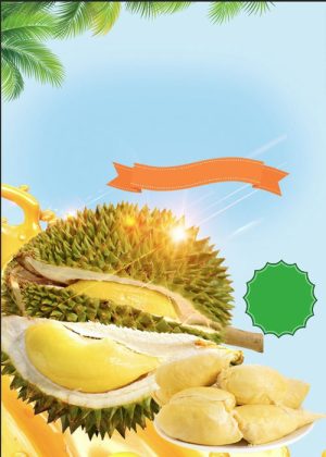 Poster Hoa Quả Đẹp, Sầu Riêng (54)
