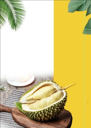 Poster Hoa Quả Đẹp, Sầu Riêng (60)