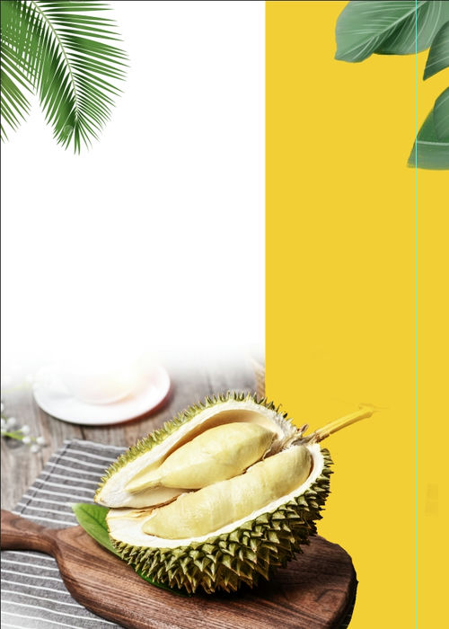 Poster Hoa Quả Đẹp, Sầu Riêng (60)