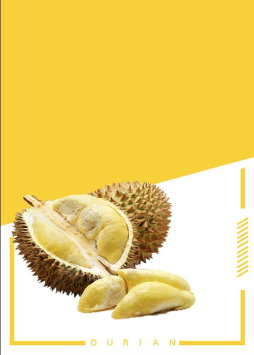 Poster Hoa Quả Đẹp, Sầu Riêng (81)