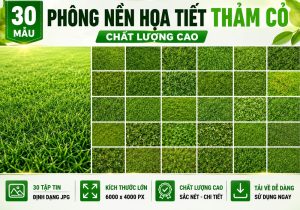 30 mẫu phông nền họa tiết thảm cỏ chất lượng cao