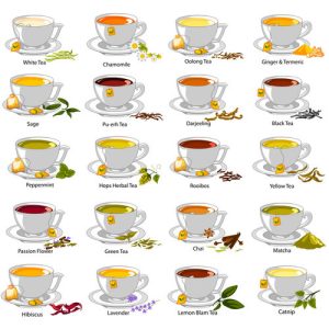 Bộ sưu tập hình ảnh vector các loại trà khác nhau