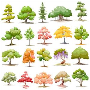 Bộ sưu tập hình ảnh vector cây nhiều màu