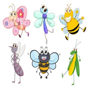 Bộ sưu tập hình ảnh vector côn trùng hoạt hình vui nhộn số 14