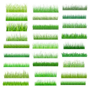 Bộ tài liệu vector viền cỏ mùa xuân 03