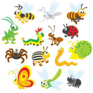 Hình ảnh côn trùng hoạt hình 5
