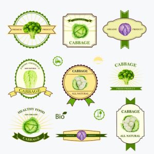 Hình ảnh minh họa nhãn rau củ sáng tạo theo phong cách cổ điển (vector 02)