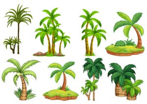 Hình ảnh vector cây cọ trên đảo biển