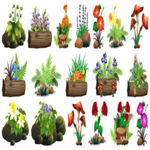 Hình ảnh vector hoa và cỏ trong tự nhiên