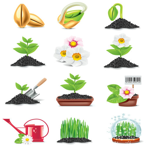 Hình ảnh vector trồng cây