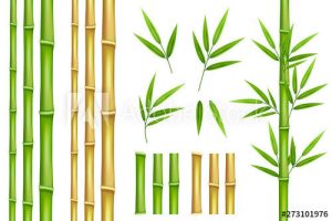 Hình minh họa vector lá tre, cây tre
