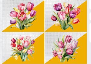 Hoa Tulip, Đóa Hoa Tulip