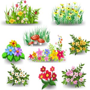 Những thiết kế hoa đẹp khác nhau