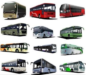 Thiết kế vector xe buýt chở khách nhiều màu sắc