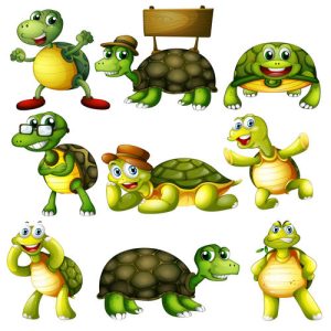 hình vẽ hoạt hình con rùa dạng vector