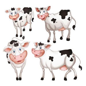 mẫu thiết kế bò sữa khác nhau dạng vector 03