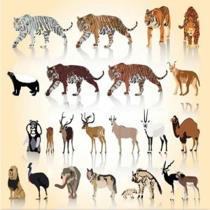 vector các loài động vật hoang dã