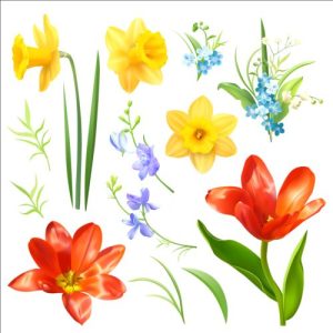 vector các loài hoa mùa xuân khác nhau