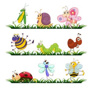 vector côn trùng hoạt hình vui nhộn 01