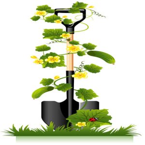 vector dưa chuột và xẻng
