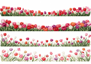 Chân Hoa Trang Trí, Hoa Tulip (4)