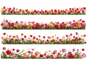 Chân Hoa Trang Trí, Hoa Tulip (5)