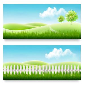 Đường Viền Cỏ Trang Trí 2