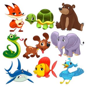 Hình ảnh ngộ nghĩnh về động vật và cá cùng chim
