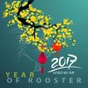 vector Hoa Mai Tết Nguyên Đán