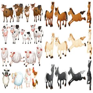 vector bộ sưu tập động vật